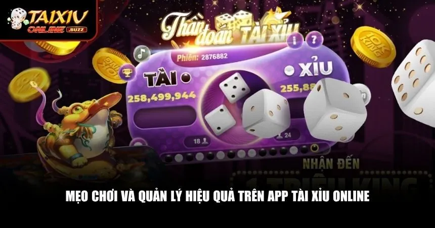 Những mẹo quan trọng dành cho mọi người chơi tài xỉu online