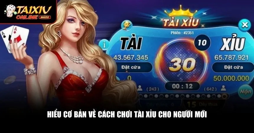 Học Nhanh Cách Chơi Tài Xỉu Cho Người Mới – Dễ Hiểu, Dễ Thắng Hiểu cơ bản về cách chơi tài xỉu cho người mới