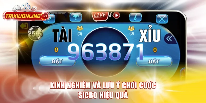 Kinh nghiệm và lưu ý chơi cược Sicbo hiệu quả